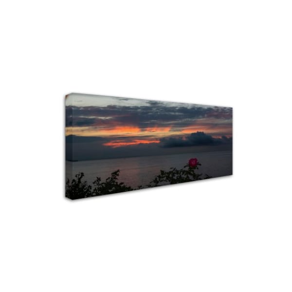 Kurt Shaffer 'Last Of Summer Rose Sunset' Canvas Art,10x19